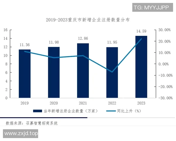 重庆滑板队战术表现深度分析与数据洞察探讨 重庆滑板队战术表现深度分析与数据洞察探讨